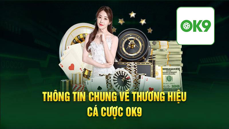 Giới thiệu Ok9: Hành trình xây dựng và mở rộng phát triển