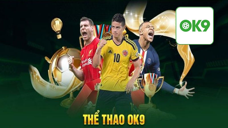 Khám phá sảnh thể thao Ok9